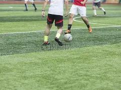 周一,意甲前瞻,蒙扎迎战佛,米兰体育直播官网,米兰体育直播,米兰体育赛事,米兰体育高清,米兰体育回放